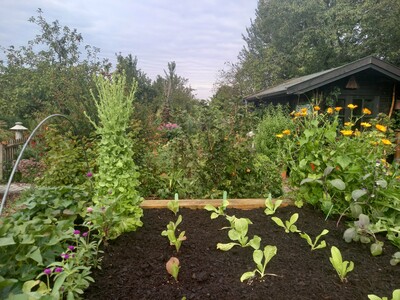 Hochbeet - © Ursel Kruse /media/media/673AC8E6-EC38-E343-B13F2EEF76159309.jpg