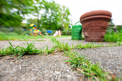 Auf Garagenzufahrten, Wegen (Foto), Bürgersteigen, Terrassen, Straßen, Parkplätzen und Hofflächen ist der Einsatz von Unkrautvernichtern verboten. - © Wolfgang Ehrecke Auf Garagenzufahrten, Wegen (Foto), Bürgersteigen, Terrassen, Straßen, Parkplätzen und Hofflächen ist der Einsatz von Unkrautvernichtern verboten.