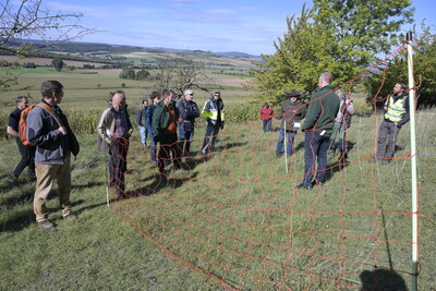 Herdenschutz in der Hanglage - © Elke Steinbach Herdenschutz in der Hanglage
