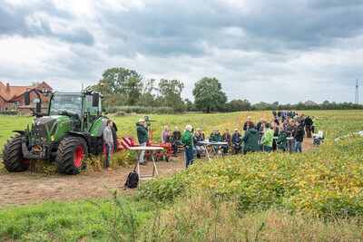 Rund 90 Besucherinnen und Besucher kamen zum LeguNet-Soja-Feldtag der Landwirtschaftskammer Niedersachsen in Blender (Kreis Verden).