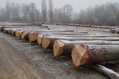 Submission 2023 - © Ulrich Besa Submission 2023