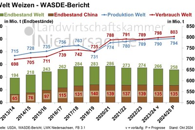 Welt Weizen - WASDE-Bericht - Oktober 2024