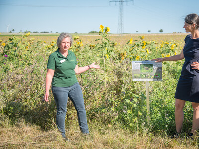 LWK-Biodiversitätsberaterin Martina Diehl (l.) und Agrarministerin Miriam Staudte auf einer Fläche speziell für den Rebhuhnschutz bei Wolfenbüttel-Leinde.