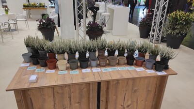 Im letzten Jahr stellte die LVG Bad Zwischenahn auf der IPM die Kultur von Calluna in 15 verschiedenen alternativen Töpfen vor. - © Dr. Felix Mahnkopp-Dirks Im letzten Jahr stellte die LVG Bad Zwischenahn auf der IPM die Kultur von Calluna in 15 verschiedenen alternativen Töpfen vor.