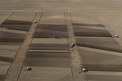 Leistungspflügen in Grefenmoor - © Andreas Fitschen Leistungspflügen in Grefenmoor
