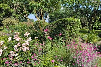 Gartenexkursionen zu ländlichen Gärten - © Anke Kreis /media/media/3DFD30A4-F1FE-3211-F746E73608AF39E8.jpg