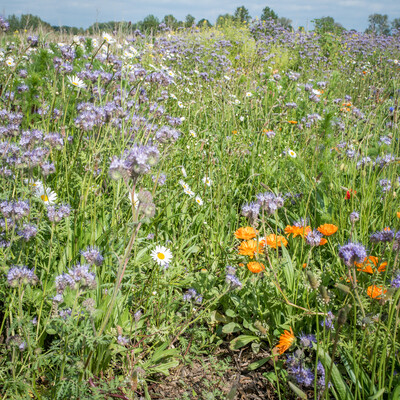 Unterzeichnung der Vereinbarung Der Niedersächsische Weg – Maßnahmenpaket für Natur-, Arten- und Gewässerschutz am 25.05.2020 in Wunstorf.