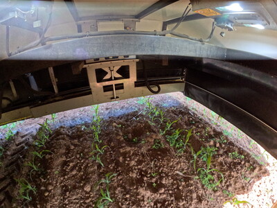 Spot Spray im Mais - © Dr. Jens Wienberg Spot Spray im Mais