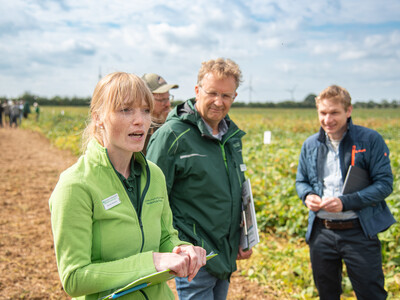 LWK-Eiweißpflanzen-Expertin Mareike Beiküfner (l.) und Markus Mücke (LWK-Fachbereich Ökolandbau) auf dem LeguNet-Soja-Feldtag der Landwirtschaftskammer Niedersachsen in Blender (Kreis Verden).