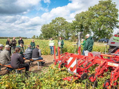 LeguNet-Soja-Feldtag der Landwirtschaftskammer Niedersachsen in Blender (Kreis Verden).