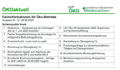 Nr. 12/2025 - © Katharina Bittner Nr. 12/2025