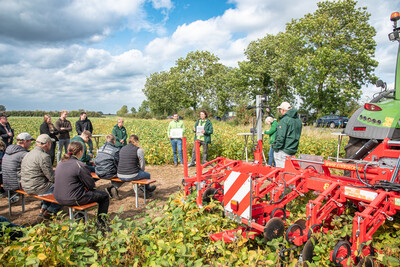 LeguNet-Soja-Feldtag der Landwirtschaftskammer Niedersachsen in Blender (Kreis Verden).