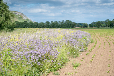 Unterzeichnung der Vereinbarung Der Niedersächsische Weg – Maßnahmenpaket für Natur-, Arten- und Gewässerschutz am 25.05.2020 in Wunstorf.