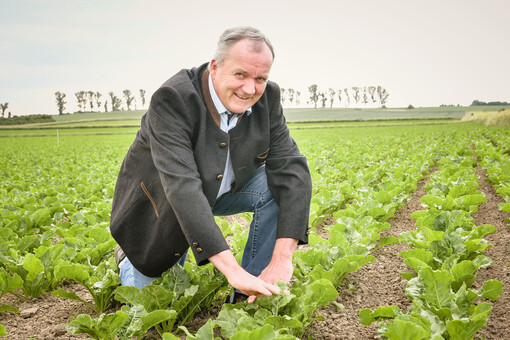 Wilfried Henties - Landwirt