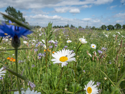 Unterzeichnung der Vereinbarung Der Niedersächsische Weg – Maßnahmenpaket für Natur-, Arten- und Gewässerschutz am 25.05.2020 in Wunstorf.