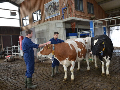 Platz 3 in der Kategorie Landwirtschaft II: Joss Legtenborg (r.) und Jannik Richter während des Finales des Berufswettbewerbs der deutschen Landjugend am 21.06.2023 nahe des Landwirtschaftlichen Bildungszentrums in Echem.