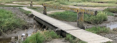 Brücke im Watt