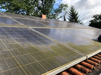 In der Nähe zu Bäumen ist Pollenstaub und Grünspan häufig ein Problem. Eine Reinigung ist dringend notwendig. - © Helmut Wahl In der Nähe zu Bäumen ist Pollenstaub und Grünspan häufig ein Problem. Eine Reinigung ist dringend notwendig.