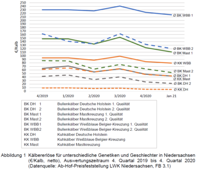 Kälbererlöse für unterschiedliche Genetiken und Geschlechter in Niedersachsen