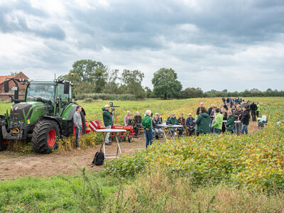 Rund 90 Besucherinnen und Besucher kamen zum LeguNet-Soja-Feldtag der Landwirtschaftskammer Niedersachsen in Blender (Kreis Verden).