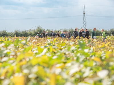 LeguNet-Soja-Feldtag der Landwirtschaftskammer Niedersachsen in Blender (Kreis Verden).