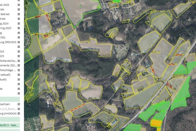 Schlaginfo_Nachweis - © Sonja Kornblum Schlaginfo_Nachweis