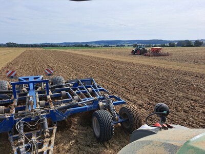 Mulchsaat von Zwischenfrüchten