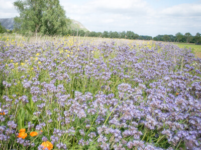 Unterzeichnung der Vereinbarung Der Niedersächsische Weg – Maßnahmenpaket für Natur-, Arten- und Gewässerschutz am 25.05.2020 in Wunstorf.