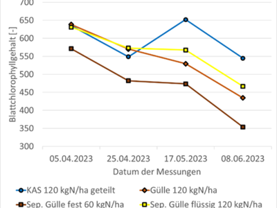 Grafik Blattchlorophyllgehalte