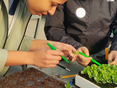 Zukunftstag 2025 im Gartenbau - © Christine Hahne Zukunftstag 2025 im Gartenbau