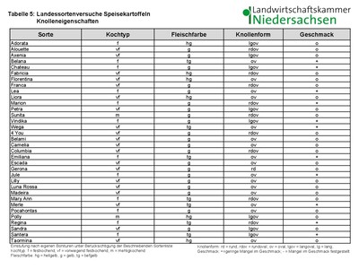 LSV Speisekartoffel 2023 Knolleneigenschaften