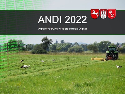 Andi 2022