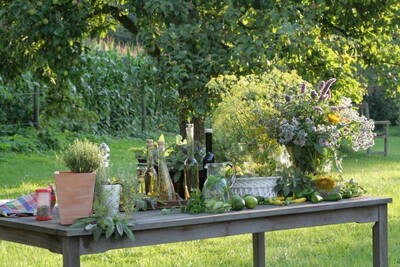 Kräuter auf Tisch - © Gerda von Lienen /media/media/EF8838C8-E4BF-773F-E9A4E668C72670C2.jpg