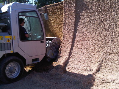 Maisentnahme Silofräse - © Dr. Christine Kalzendorf Maisentnahme Silofräse