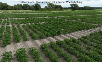 Exaktversuche: Blockanlagen mit 4-facher Wiederholung - © Jürgen Pickny Exaktversuche: Blockanlagen mit 4-facher Wiederholung