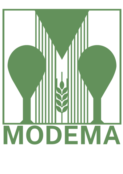 Logo des Projektes MODEMA