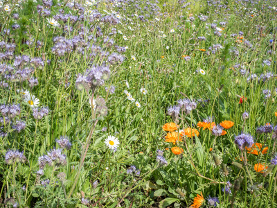 Unterzeichnung der Vereinbarung Der Niedersächsische Weg – Maßnahmenpaket für Natur-, Arten- und Gewässerschutz am 25.05.2020 in Wunstorf.