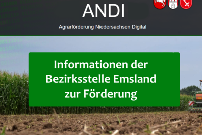 Deckblatt - Förderung - © Daniela Schulte Deckblatt - Förderung