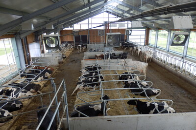 Lüftung Milchviehstall - © Sebastian Bönsch /media/media/AD469CF9-C30C-4C11-45C191CD771A22EA.JPG