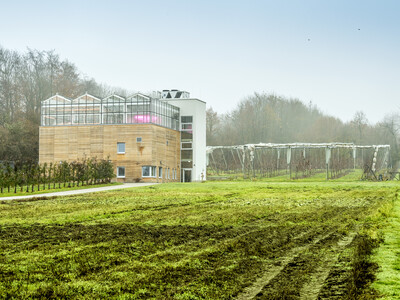 Digitalisierung im Garten- und Pflanzenbau mit Vertical Farming: Eine Exkursion der Beraterhochschultagung führte ins Forschungszentrum „Agrarsysteme der Zukunft“ der Hochschule Osnabrück.