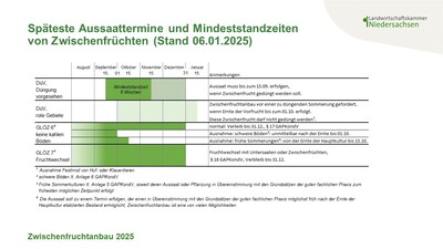 Standzeiten für Zwischenfrüchte - © Annette Hoffmann Standzeiten für Zwischenfrüchte