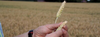 Ausbildung Landwirt/in