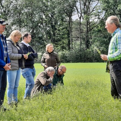 ÖMR HR Uelzen_Gemengeanbau