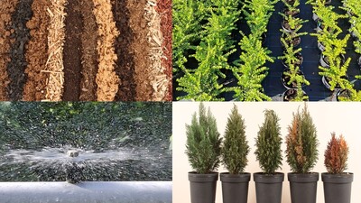 vier Arbeitspakete TOBANA - © Maren Hantelmann vier Arbeitspakete TOBANA