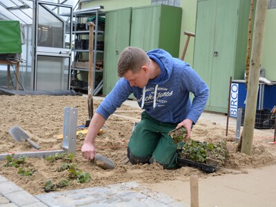 Tobias Jensen während der Fremdbewertung LVG Rostrup - © Almut Eilers Tobias Jensen während der Fremdbewertung LVG Rostrup