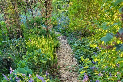 Gartenmomente - © Almut Eilers /media/media/CD43F128-E464-A7DD-92C15ED71BF62307.jpg