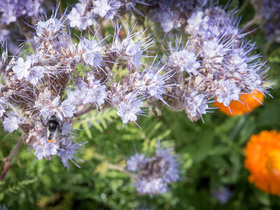 Unterzeichnung der Vereinbarung Der Niedersächsische Weg – Maßnahmenpaket für Natur-, Arten- und Gewässerschutz am 25.05.2020 in Wunstorf.