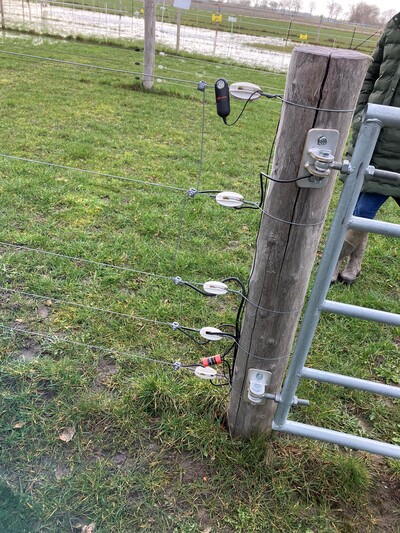 Musterzaunanlage - © Katharina Bittner Musterzaunanlage