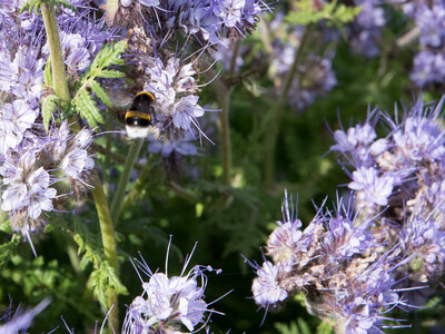 Unterzeichnung der Vereinbarung Der Niedersächsische Weg – Maßnahmenpaket für Natur-, Arten- und Gewässerschutz am 25.05.2020 in Wunstorf.