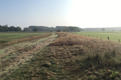 Wegeseitenränder - © Kerstin Fricke Wegeseitenränder